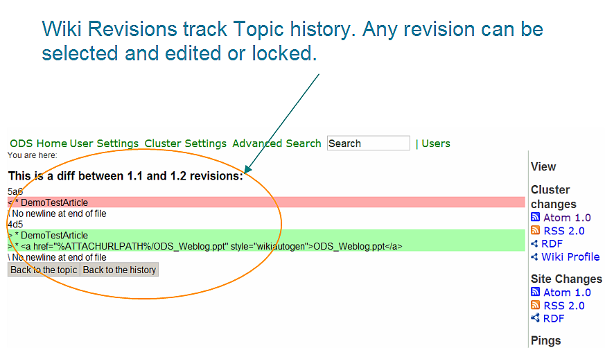 Wiki Revisions